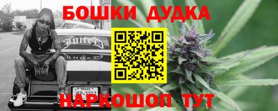 apvp Партизанск