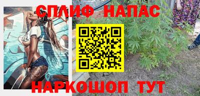 молекула духа Пенза